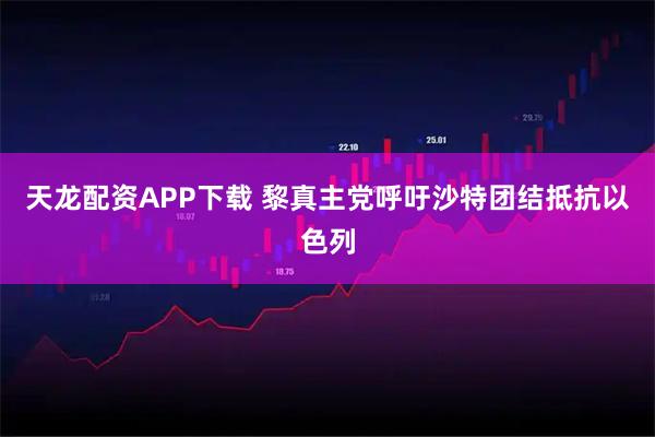 天龙配资APP下载 黎真主党呼吁沙特团结抵抗以色列